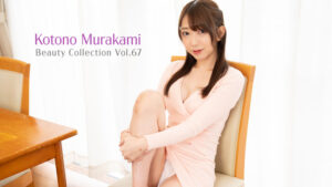 HZ-3576-[HD Uncensored]